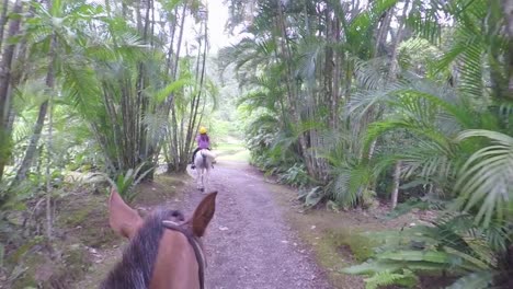 Group-Horse-Back-Riding-Through-Palm-Tree-Road