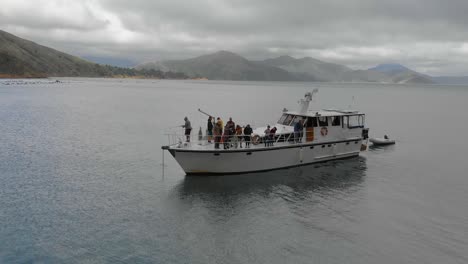 People-fishing-off-anchored-cruise-boat-in-bay-in-Marlborough-Sounds,-New-Zealand