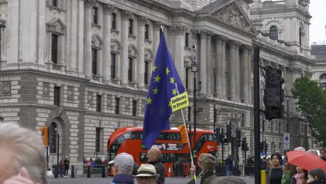 "Stop-the-coup"---"Bollocks-to-Brexit"-Remainer-waves-EU-flag