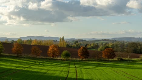 Langsamer-Zoom-Zeitraffer-Von-Herbstlaub-Und-Grünen-Feldern
