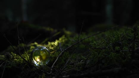Zeitraffer-Einer-Kristallkugel-Auf-Moos-In-Einem-Wald,-Die-Die-Landschaft-Mit-Schnell-Wechselndem-Licht-Reflektiert