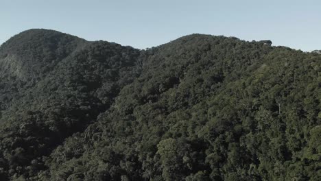 Hermosas-Imágenes-De-Drones-De-La-Selva-Tropical-De-4k