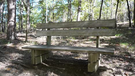 Bench-found-along-a-nature-trail-with-carvings-and-writing-on-it,-inside-Lake-Catherine-State-Park