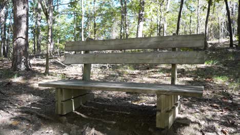 Banco-Encontrado-A-Lo-Largo-De-Un-Sendero-Natural-Con-Tallas-Y-Escritura-En-él,-Dentro-Del-Parque-Estatal-Del-Lago-Catherine