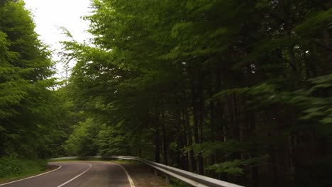 Conducir-A-Través-De-Un-Camino-Sinuoso-En-Un-Bosque