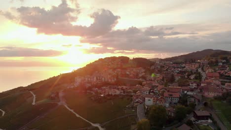 drone-footage-of-swiss-near-Leman-Lake,-showing-grape-fields,-boats,-harbor,-small-towns