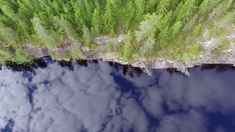Surreal-drone-shot-of-the-shoreline-of-a-forest-lake-in-boreal-wilderness