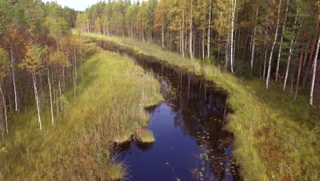 Aerial-footage-of-a-beautiful-river-in-the-borealis-wilderness