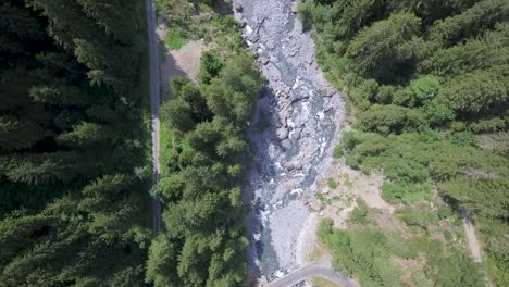 Eine-Drohnenansicht-Von-Oben-Nach-Unten-Auf-Einen-Gletscherschmelzfluss,-Umgeben-Von-Alpinen-Bäumen
