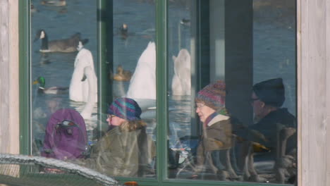 Birdwatchers-enjoying-the-wildlife-spectacle-of-the-wild-Whooper-Swans-from-behind-the-glass-in-the-comfort-of-the-Sir-Peter-Scott-bird-hide-at-the-Caerlaverock-Wetland-Centre-South-West-Scotland