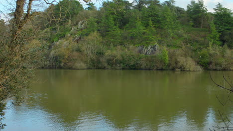 Landschaft-Eines-Ruhigen-Sees,-Umgeben-Von-Natürlichem-Grün-Tagsüber-In-Frankreich