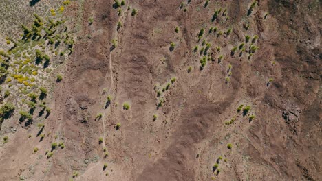 Aerial-cenital-drone-shot-of-a-dirt-mountain-with-some-trees