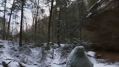 Waldbäume-Im-Winter-Auf-Der-Aschenhöhle-Des-Hocking-Hills-State-Park-In-South-Bloomingville,-Ohio,-USA