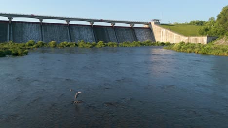 Flyover-two-blue-herons-standing-in-creek-bed-below-reservoir-spillway,-Hoover-Reservoir,-Ohio
