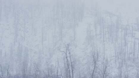 Landschaftsansicht-Eines-Ländlichen-Hügels-Mit-Bäumen-Inmitten-Eines-Winterlichen-Schneesturms