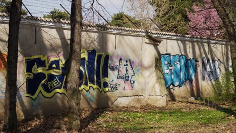 Blick-Auf-Graffiti-Kunst-Im-Park-An-Der-Wand