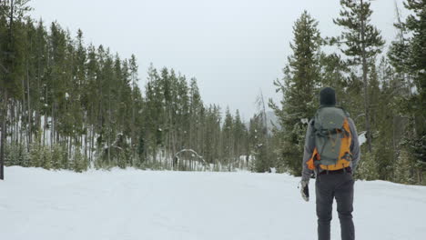 Man-hiking-walks-by-on-snow-covered-road-in-winter-forest