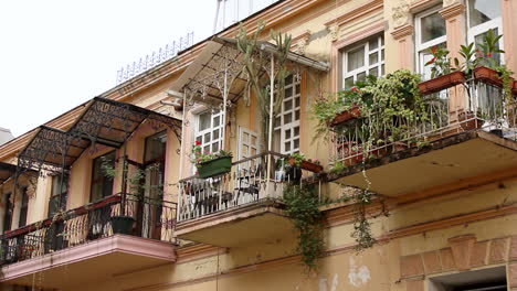 Apartment-balcony-with-flower-pots-in-Batumi,-Georgia