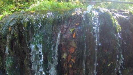 Una-Pequeña-Cascada-Forestal-Durante-El-Verano