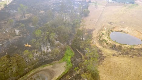 Aerial-view-of-fire-devastation-from-eucalyptus-tree-forest-blaze-Warragamba-Australia-with-homes-and-watering-hole-nearby,-drone-overview