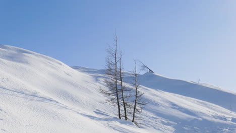 Panorama-of-hill-covered-with-snow-and-trees