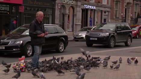 Ein-Mann-Füttert-Vögel,-Während-Wir-In-Irland-Aus-Dem-Lockdown-Herauskommen