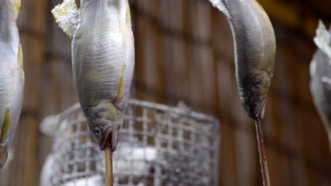 Japanese-street-food-shioyaki-grilled-fish-on-stick,-static-close-up