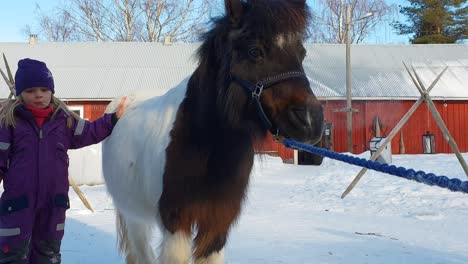 Young-litle-girl-approaching-cute-pony-horse,-static-medium-shot