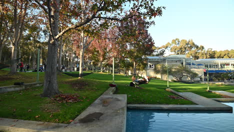 Hammocks-by-the-water-in-the-UC-San-Diego-campus,-perfect-for-outdoor-studying-and-relaxing---wide-pan