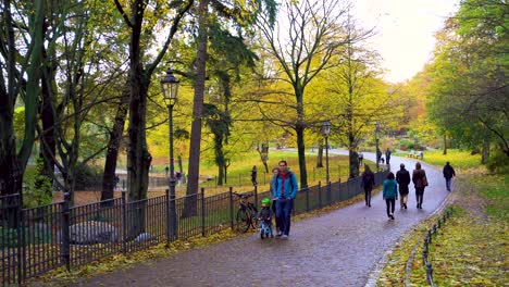 Gente-Caminando-Por-El-Parque-De-La-Ciudad-Dorada-En-El-Soleado-Día-De-Otoño-En-Berlín