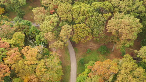 An-aerial-view-of-colorful-trees-in-the-day