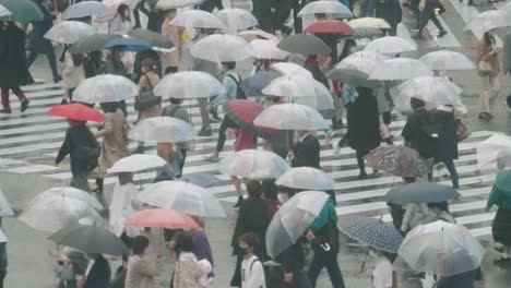 Peatones-Con-Paraguas-En-Un-Día-Lluvioso-Cruzan-En-La-Icónica-Intersección-De-Shibuya-En-Tokio,-Japón