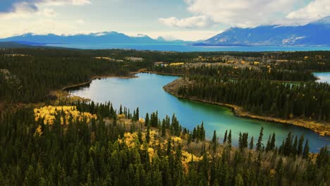 Mountain-river-surrounded-with-forest-trees,-calm-Atlin-lake,-British-Columbia