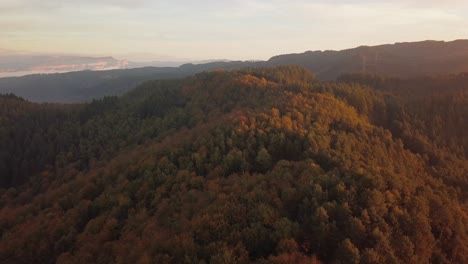 Luftaufnahme-Von-Sanften-Berggipfeln-Und-Mit-üppigen-Bäumen-Bedeckten-Hängen
