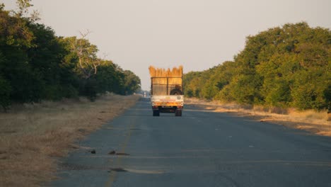 Truck-carrying-dry-thatch-grass-drives-away-on-road-in-Chobe-National-Park-at-sunset
