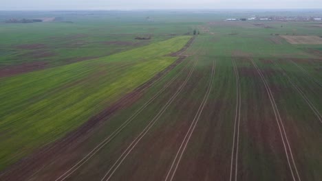Flying-over-Lithuania's-flatland-with-beautiful-green-agricultural-fields-with-tractor-marks