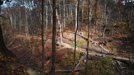 Toma-Escénica-De-árboles-De-Otoño-En-El-Barranco-De-Glen-Stewart,-Con-Excursionistas-De-Todas-Las-Edades-Abajo-En-Un-Sendero