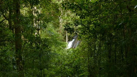 Wasserfall-Durch-Die-Bäume-In-Der-Kurzen-Entfernung