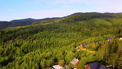 Aerial-view-over-houses,-forest-and-lush-green-nature,-in-the-Carpathian-Mountains,-sunny,-summer-evening,-in-Ukraine---dolly,-drone-shot