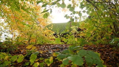 Kabinendach-Hinter-Den-Herbstbäumen