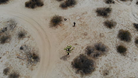 A-Man-walks-slowly-on-his-own-through-the-barren-lonley-desert-in-Joshua-Tree-birdseye-Drone-Aerial,-California-USA