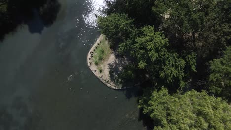 Luftaufnahme-Von-Oben-Nach-Unten-Eines-Wunderschönen-Sees-Mit-Inselpfaden-Im-Sommer-In-Der-Natur
