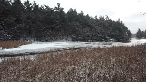 Schnee-Und-Winterliche-Natur-Mit-Bäumen-Auf-Einem-Zugefrorenen-See-In-Kanada---Drohnen-4K-Luftaufnahme