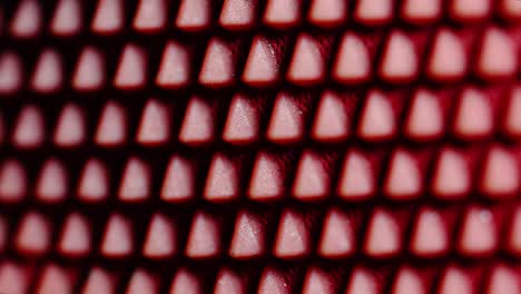 Stable-camera-movements-and-change-of-focus-for-the-best-perspective-of-this-beautiful-red-pattern,-Shot-with-the-Sony-a7iii-and-macro-lens-90mm