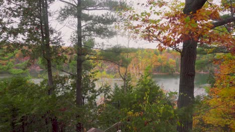 Slow-forward-shot-in-a-forest-in-the-autumn-with-a-lake-in-the-distance-on-a-boardwalk-with-a-lookout