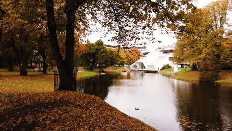 Golden-autumn-park-with-beautiful-white-building-in-distance-and-ducks-in-the-pond