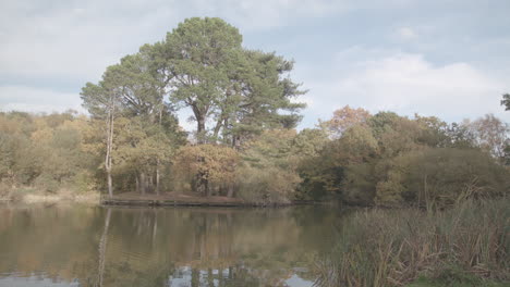 Lake---Pond-With-Trees-At-Autumn---Fall-Time---Ungraded