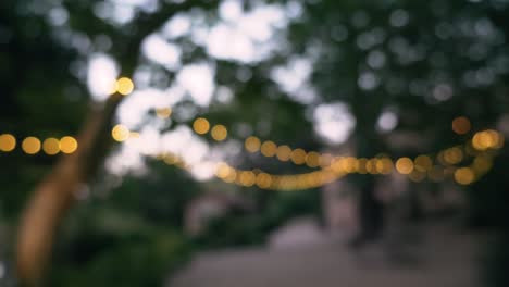 wedding-light-bulbs-decoration-camera-moving-and-focusing
