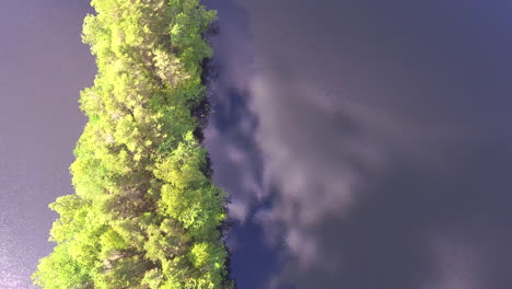 Luftaufnahme-Eines-Kleinen-Kaps-In-Einem-Waldsee,-Kamera-Gerade-Nach-Unten