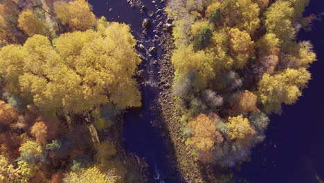 Wunderschöne-Drohnenüberflugaufnahmen-Eines-Herbstlich-Gefärbten-Flusses-Und-Stromschnellen-In-Der-Wildnis